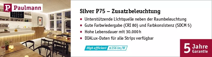 Paulmann ProStrips Silver P75