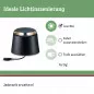 Preview: Paulmann 93917 Plug&Shine Bodenaufbauleuchte IP67 2x3W 24V Anthrazit