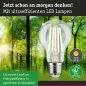 Preview: Paulmann 29121 Eco-Line Filament 230V LED Birne E27 1er-Pack 840lm 4W 3000K Klar