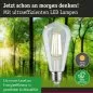 Preview: Paulmann 29122 Eco-Line Filament 230V LED Kolben ST64 E27 840lm 4W 3000K Klar