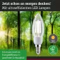 Preview: Paulmann 29129 Eco-Line Filament 230V LED Kerze E14 525lm 2,5W 4000K Klar