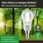 Preview: Paulmann 29131 Eco-Line Filament 230V LED Tropfen E14 1er-Pack 100mm 525lm 2,5W 4000K Klar