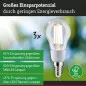 Preview: Paulmann 29134 Eco-Line Filament 230V LED Tropfen E14 3er-Pack 100mm 3x525lm 3x2,5W 3000K Klar