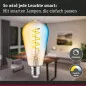 Preview: Paulmann 29157 Filament 230V Smart Home Zigbee 3.0 LED Kolben ST64 E27 600lm 7,5W Tunable White dimmbar Gold