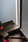 Preview: Paulmann 71093 LED Leuchtspiegel Miro IP44 Tunable White 180lm 230V 11W Spiegel/Schwarz matt