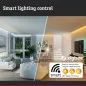 Preview: Paulmann 78869 MaxLED 250 LED Strip Smart Home Zigbee Tunable White beschichtet Basisset 3m IP44 12W 810lm 30LEDs/m 36VA