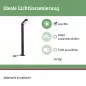 Preview: Paulmann 94547 Plug & Shine LED Pollerleuchte Ito Vertikale Ausrichtung IP65 3000K 6W Anthrazit