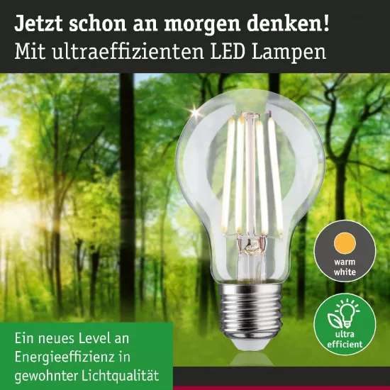 Paulmann 29124 Eco-Line Filament 230V LED Birne E27 1er-Pack 525lm 2,5W 4000K Klar