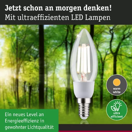 Paulmann 29129 Eco-Line Filament 230V LED Kerze E14 525lm 2,5W 4000K Klar