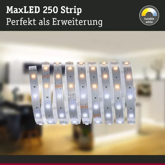 Paulmann 79862 MaxLED 250 LED Strip Tunable White Einzelstripe 2,5m 9W 270lm/m
