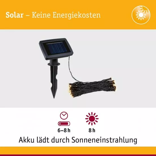 Paulmann 94877 Solar Lichterkette Aurinka IP44 3000K Schwarz