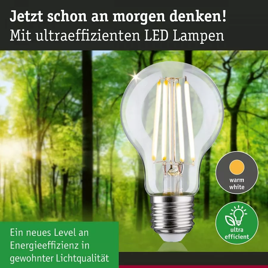 Paulmann 29120 Eco-Line Filament 230V LED Birne E27 1er-Pack 525lm 2,5W 3000K Klar
