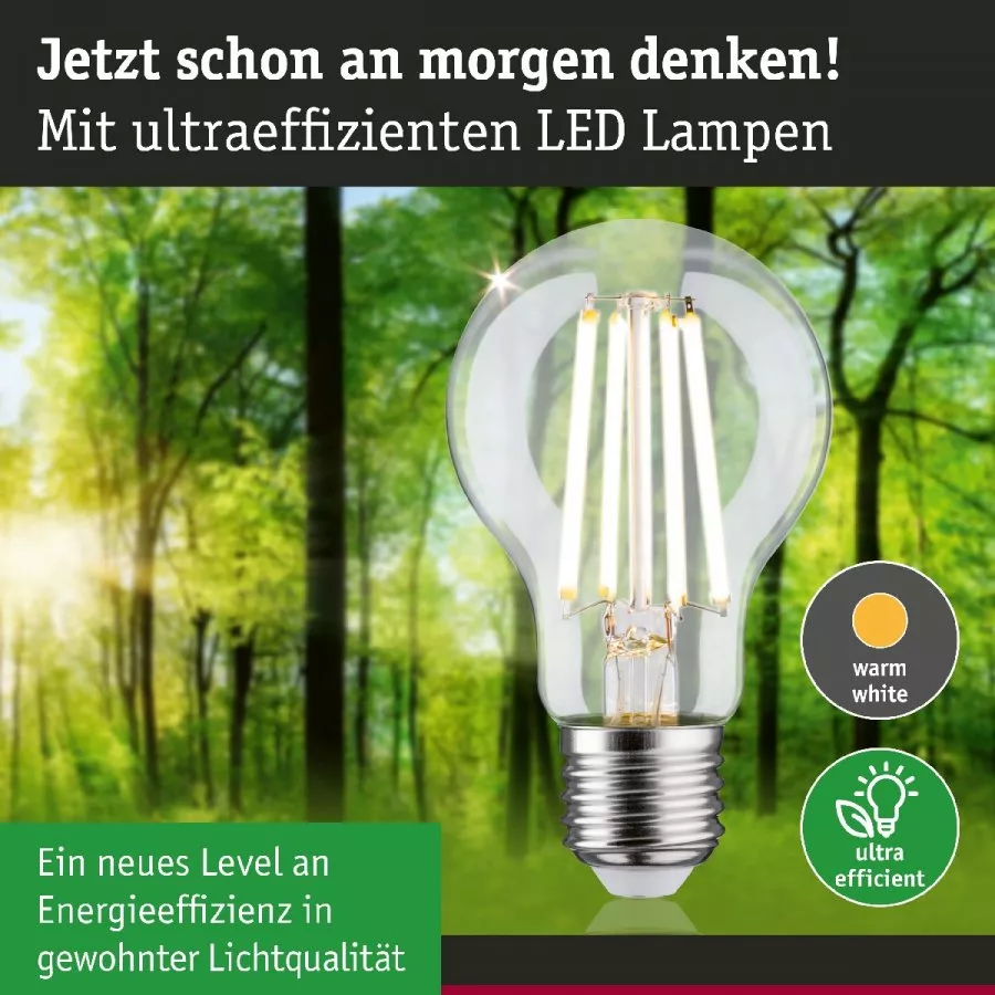 Paulmann 29121 Eco-Line Filament 230V LED Birne E27 1er-Pack 840lm 4W 3000K Klar