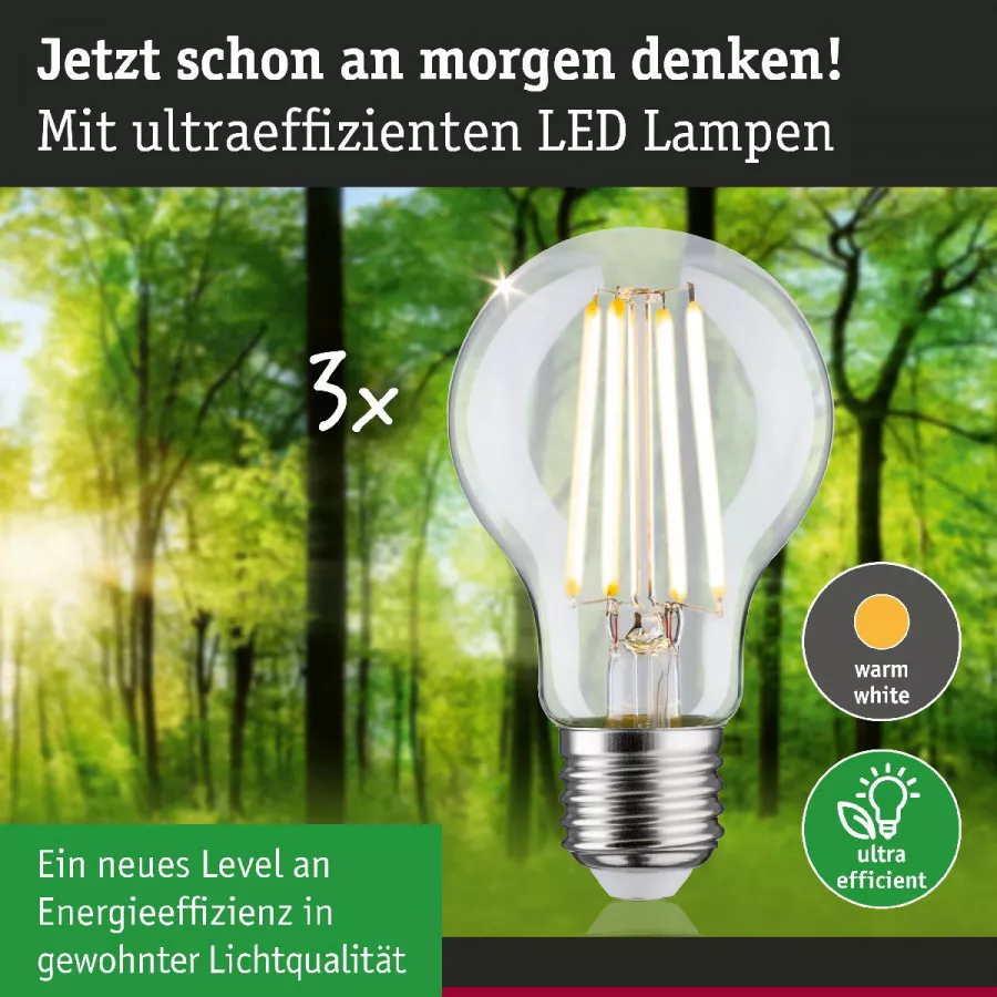 Paulmann 29132 Eco-Line Filament 230V LED Birne E27 3er-Pack 3x840lm 3x4W 3000K Klar