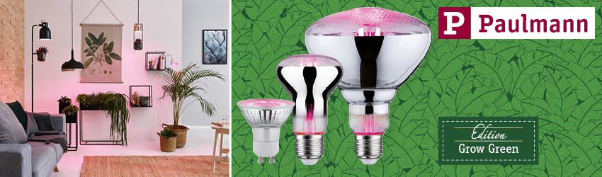 Paulmann LED Leuchtmittel Grow Green