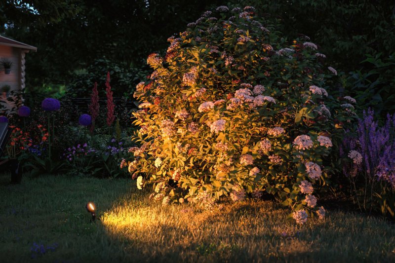 Paulmann Plug & Shine Gartenbeleuchtungssystem
