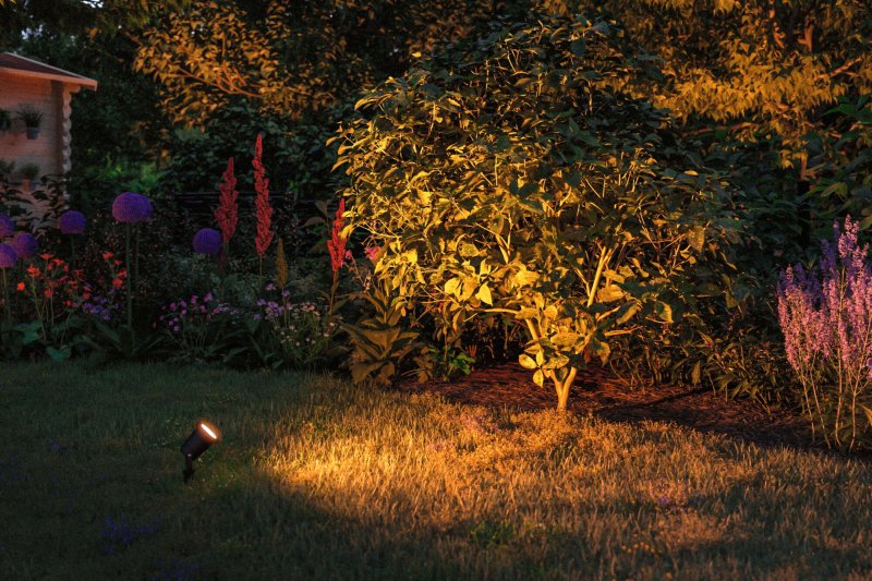 Insektenfreundliches Licht im Garten 