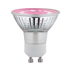 Paulmann 28974 Grow Green Edition Filament 230V LED Reflektor GU10 95lm 3,5W 1100K Wachstumslicht