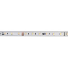 Deko-Light LED Stripe Standard SMD 24V 15W 740lm/m RGB/3000K IP67 5m