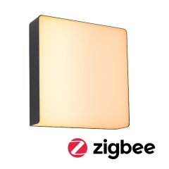 Paulmann 94842 LED Au�enwandleuchte Smart Home Zigbee 3.0 Azalena Bewegungsmelder insektenfreundlich